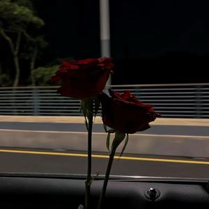 Jar Of Love DJ（DJ疯丫头 remix）