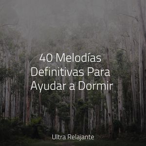 Completamente Relajado