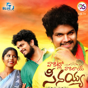 Vakitlo Vakilaye Seenayya
