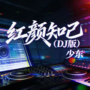 红颜知己（DJ版）