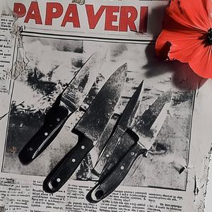 PAPAVERI (feat. BandoBenz)