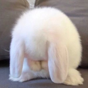 人间宝藏