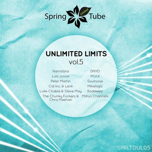 Puto Pensador (Soulnoise remix)