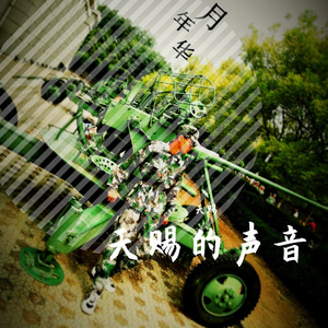 《鲁班的传人》