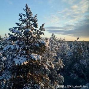 在冬天的阳光下划着船轻轻扬帆