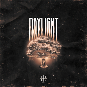 Daylight
