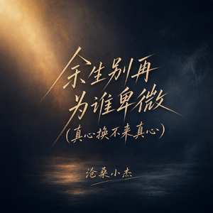 余生别再为谁卑微(真心换不来真心)