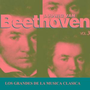 Symphony No. 3 in E-Flat Major, Op. 55: IV. Finale. Allegro molto