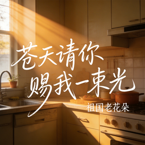 苍天请你赐我一束光（原版）