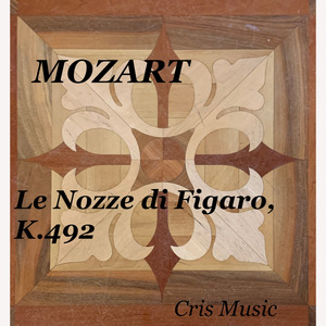 Le nozze di Figaro, K.492, Act III: Hai già vinto la causa!... Vedrò, mentr'io sospiro
