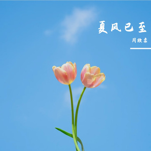 雾里花影