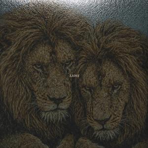 Lions