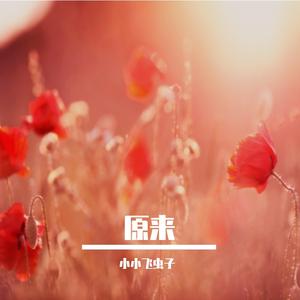 一个人想着一个人（说唱版）