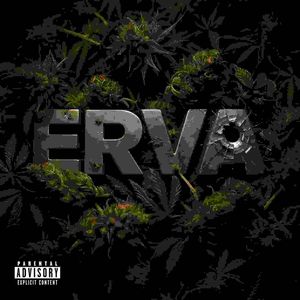 Erva