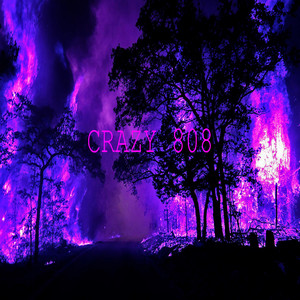 Crazy 808