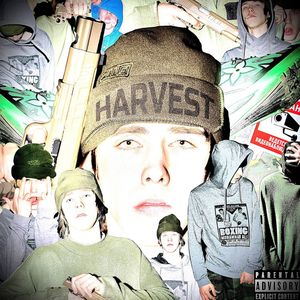 Мордой в Пол