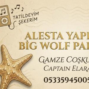Kandırma kendini "işi vardır" diye Bahaneler sığmaz artık bu sessizliğe Ulaşmak isteyen yol bulur, (feat. gamze coşkun)