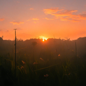 指纹（王琳凯与张碧晨版）