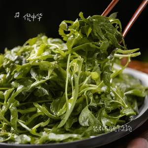 狼群在月光下奔跑