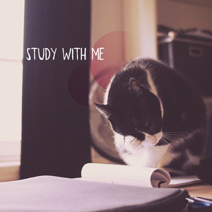 Study with Me