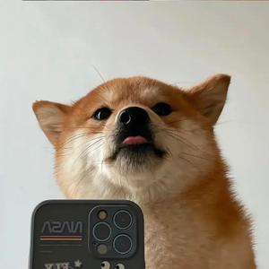 浪人琵琶