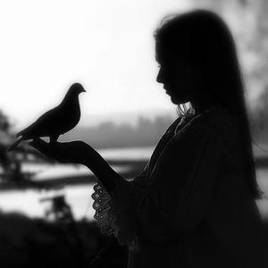 火红的萨日朗（片段）（翻自 贾方畅）