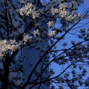 深邃（纯音乐）