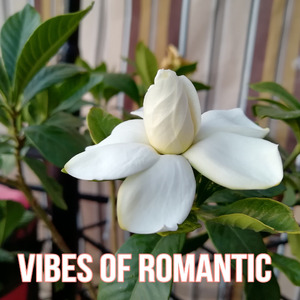 Vibes of Romantic
