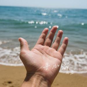 手心海 (Cover 王赫野)