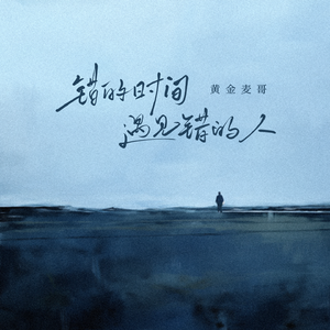 错的时间遇见错的人