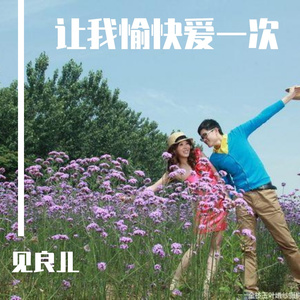 让我愉快爱一次