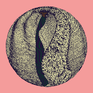 Outbreaker (Original)