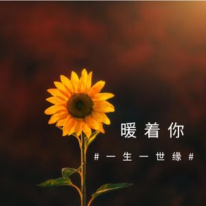 暖着你   男声版 伴奏