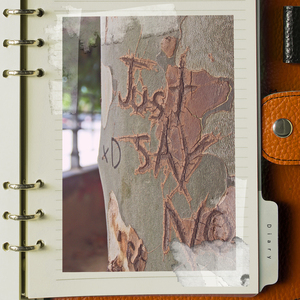 할 말을 다하면