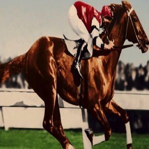 Phar Lap