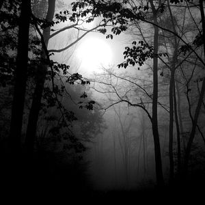 风雨染衣志向青山