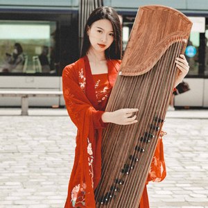 古筝《逍遥叹》