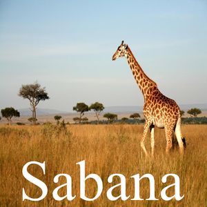 Sabana