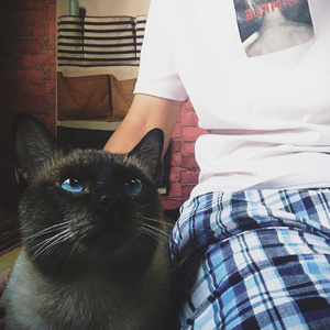 你好！要努力的一天啊