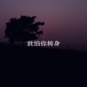 就怕你转身