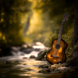 Sun Kissed Strings