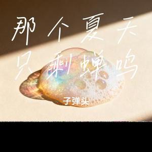 后来我再没等过谁