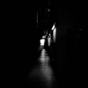 Cantus (Psy Flip Ver. Extended)