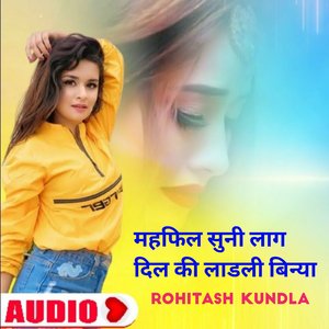 महफिल सुनी लाग दिल की लाडली बिन्या (राजस्थानी)