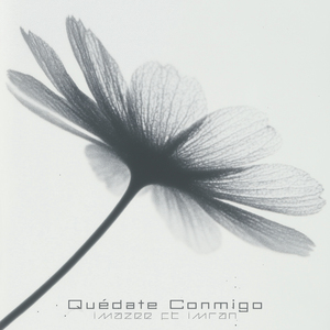 Quédate Conmigo (feat. Imran)