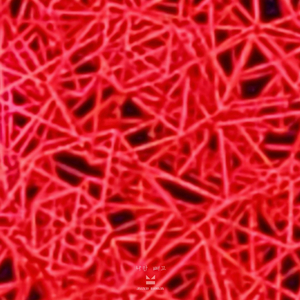 나만 빼고 (Feat. MK)