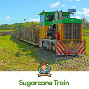 Sugarcane Train