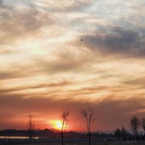 悬在空中的爱情