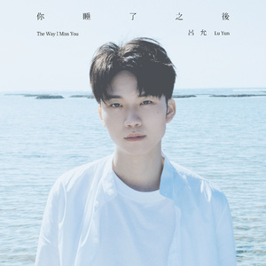 你睡了之后 (The Way I Miss You)