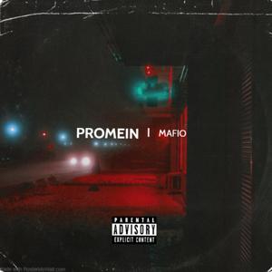 PROMEIN